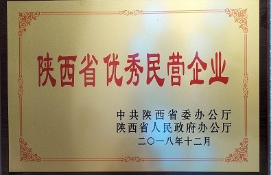 陜西省優(yōu)秀名營企業(yè)